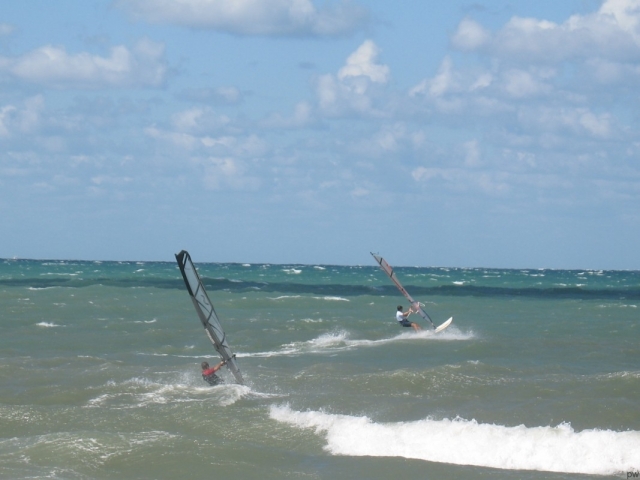  Cours avec des experts 